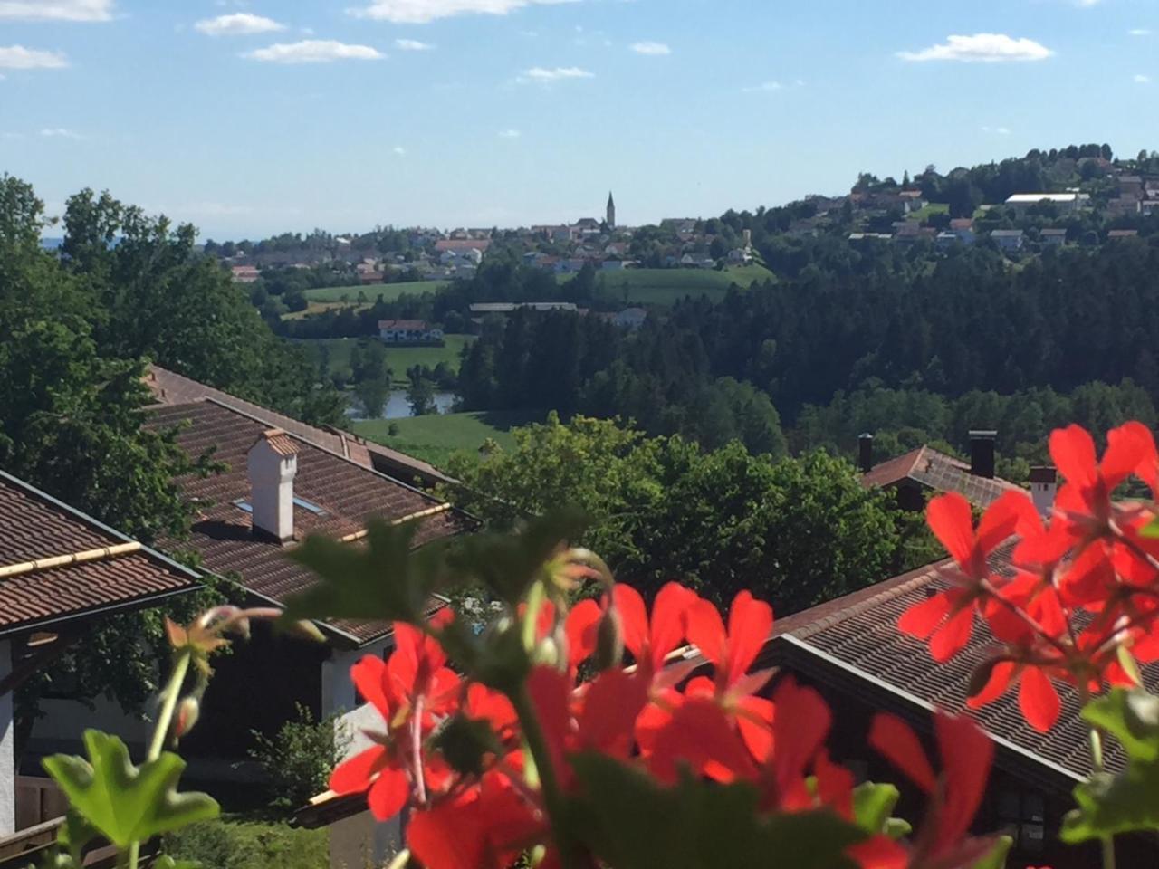 Ferienwohnung Waldblick Hauzenberg Extérieur photo